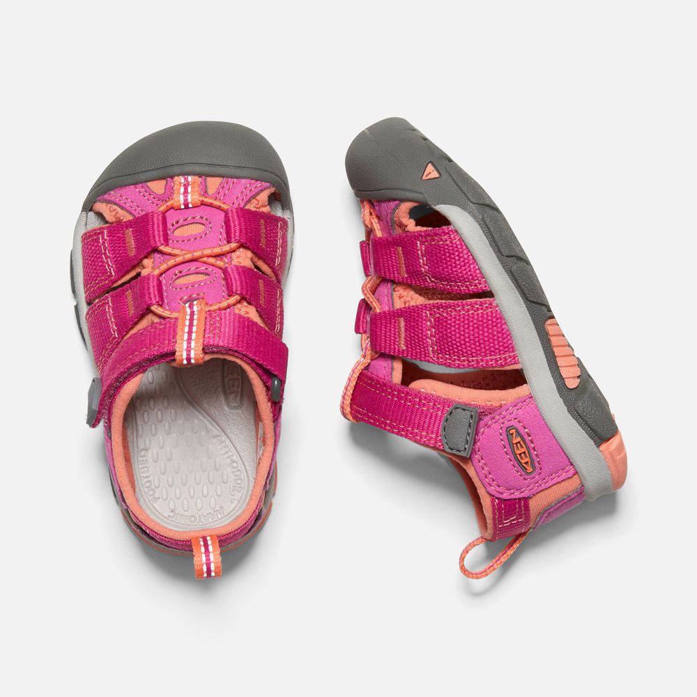 Sandales Keen Enfant Rose/Corail | Newport H2 | MIQXT-0514